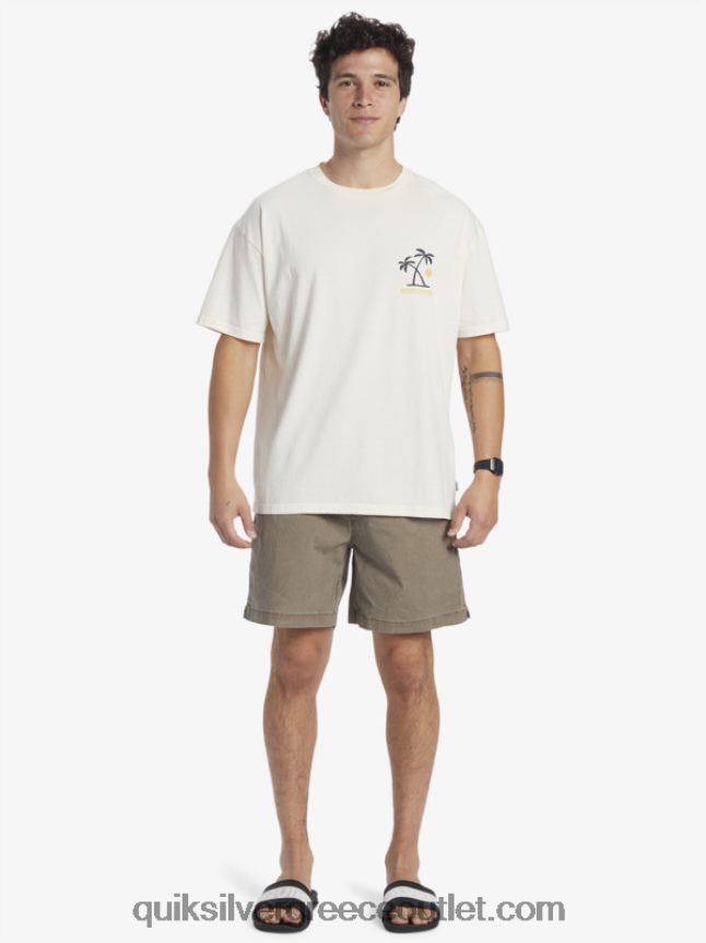 t-shirt με τελετουργίες ηλιοβασιλέματος Quiksilver άνδρες 66LP84391 σημύδα