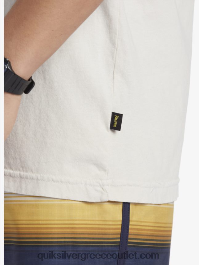 t-shirt με γραφικά vibes Quiksilver x Pacifico άνδρες 66LP849 πέτρα