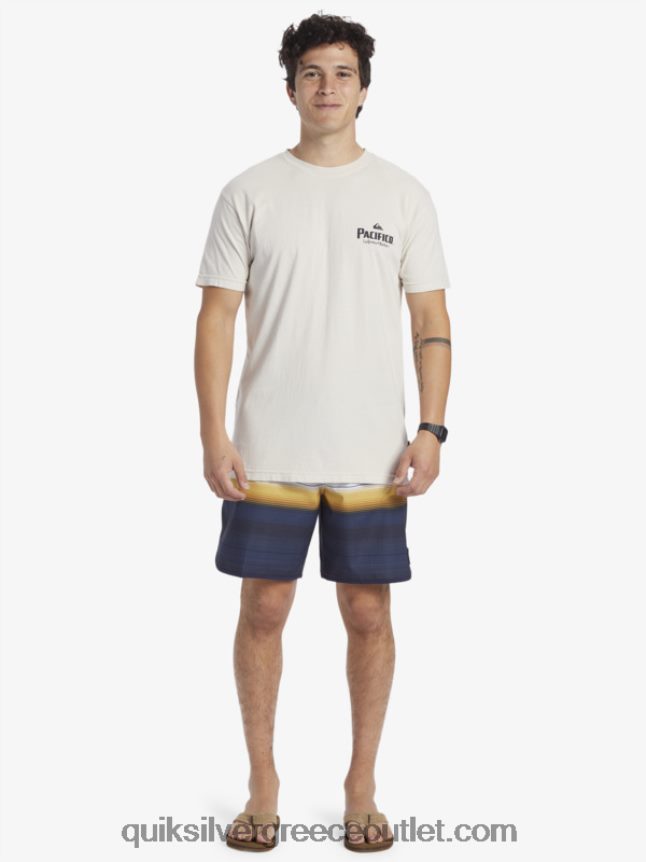 t-shirt με γραφικά vibes Quiksilver x Pacifico άνδρες 66LP849 πέτρα