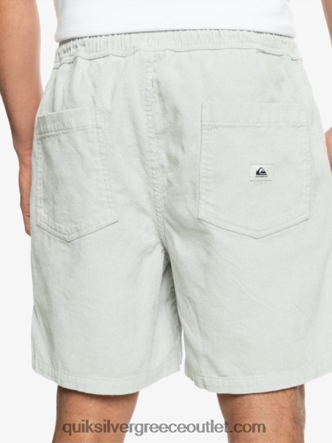 σορτς κορδόνι taxer Quiksilver άνδρες 66LP84363 γκρι βιολετί