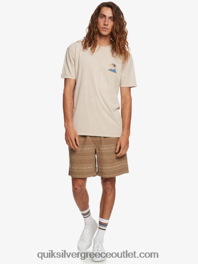 ζακάρ σορτς taxer Quiksilver άνδρες 66LP84421 μίνι ζακάρ γκρι ελιάς