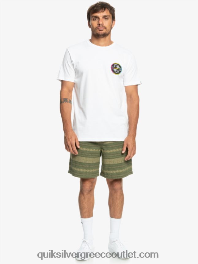 ζακάρ σορτς taxer Quiksilver άνδρες 66LP84422 τετράφυλλο τριφύλλι taxer jacquuar