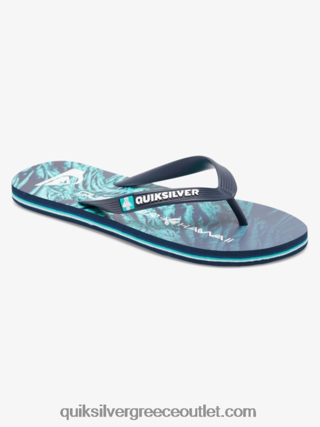 σαγιονάρες μολκάι εγχώριες Quiksilver άνδρες 66LP841861 πράσινο 1