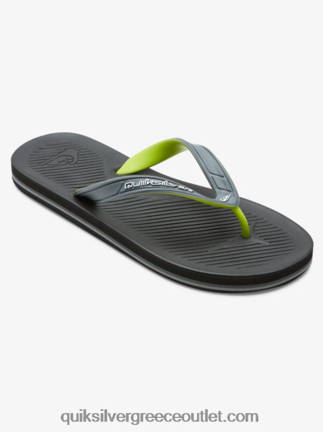 σαγιονάρες πυρήνα haleiwa Quiksilver άνδρες 66LP84953 γκρι 1