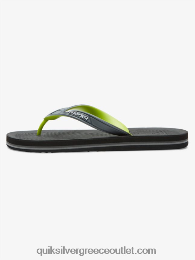 σαγιονάρες πυρήνα haleiwa Quiksilver άνδρες 66LP84953 γκρι 1