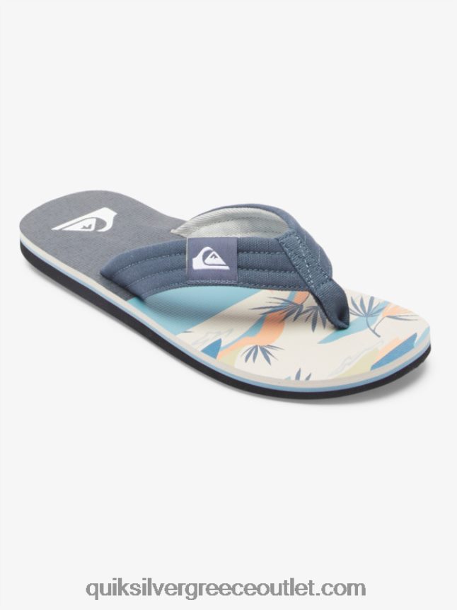σανδάλια layback molokai Quiksilver άνδρες 66LP84494 γκρι/λευκό