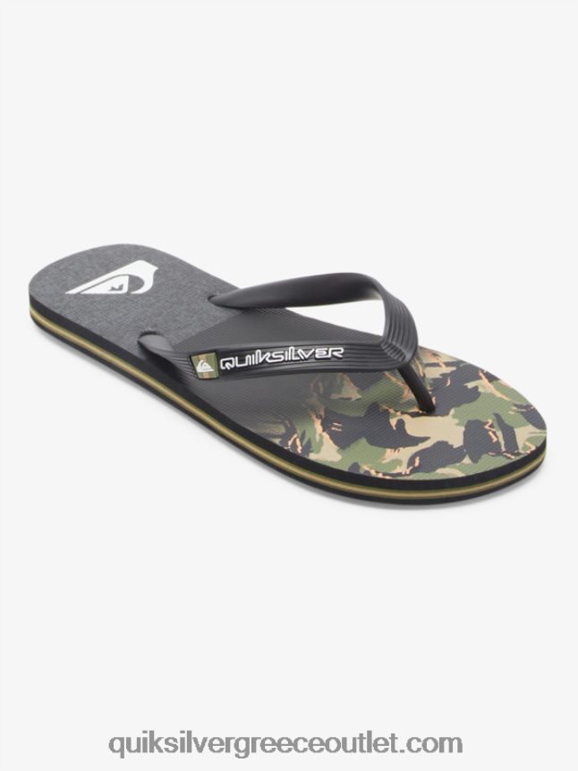 σαγιονάρες πάνελ molokai Quiksilver άνδρες 66LP84570 πράσινο 1