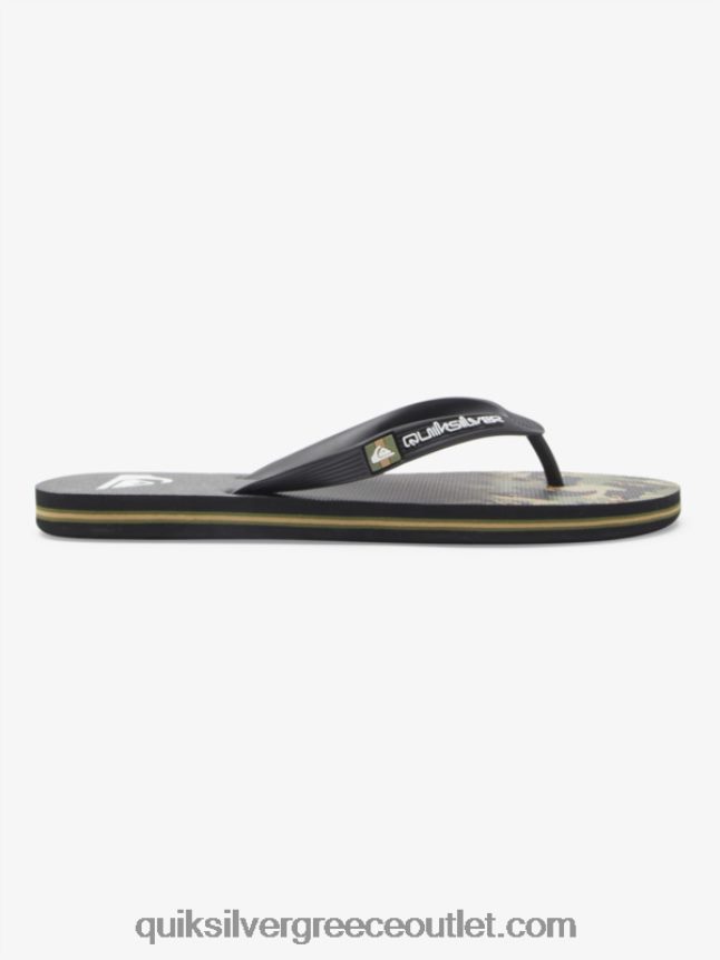 σαγιονάρες πάνελ molokai Quiksilver άνδρες 66LP84570 πράσινο 1