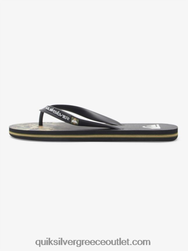 σαγιονάρες πάνελ molokai Quiksilver άνδρες 66LP84570 πράσινο 1
