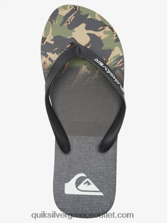 σαγιονάρες πάνελ molokai Quiksilver άνδρες 66LP84570 πράσινο 1